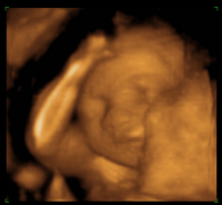 Screen shot 2012-08-02 at 12.20.16 PM.png