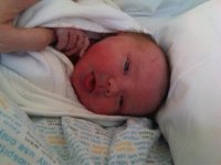 IMG00139-20101114-1501.jpg