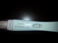 BFN 8-2-12.jpg