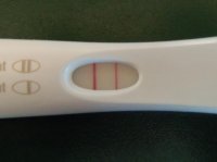 15dpo.jpg