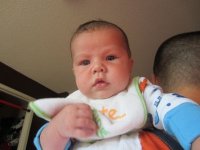 tn_IMG_2863.JPG