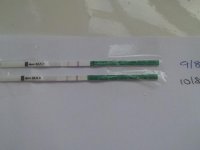 100812.jpg
