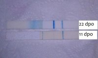 22dpo digis.jpg