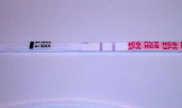 20dpo wondfo.jpg