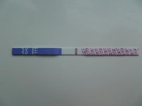 f0185eeec8edd265c79dd3342264e94a.jpg