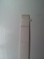 20120817_102059.jpg