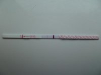 P1090674-1.jpg