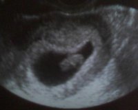 7 w 6 d scan.jpg