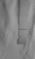 test2.jpg