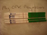 opkpro1.jpg