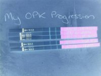 opkpro2.jpg