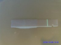 4649.jpg