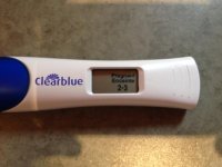 photo (2).jpg