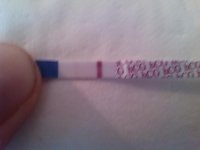 12dpo cheapy.jpg