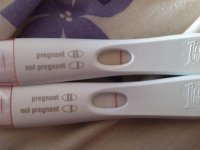 12dpo sbs.jpg