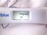 cb digi 12dpo.jpg