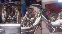CarSeat.jpg