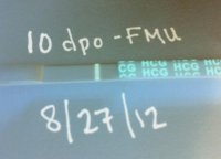 1346087805491.jpg