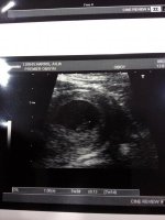 baby H.jpg