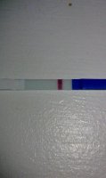 5dpo2 (2).jpg