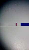 6dpo (3).jpg