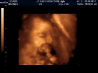UCBABY_7.jpg