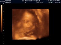 UCBABY_10.jpg