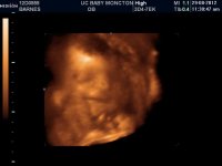 UCBABY_12.jpg