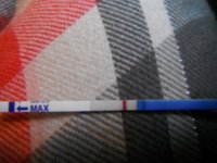 test.jpg