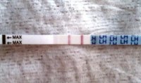 cd17.jpg