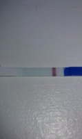 8dpo.jpg