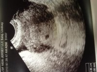 Baby Salaj 1US copy.jpg