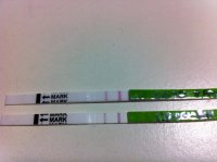 OPK positive CD20.jpg