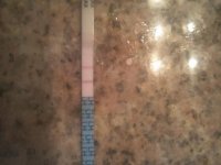 OPK.JPG