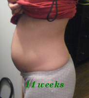 14 weeks.png