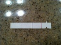 9DPO.jpg