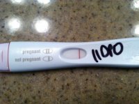 11 DPO.jpg