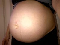 24weeks(2).jpg