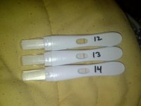IMG-20120910-00009.jpg