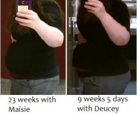 23 weeks with Maisie 9+5 with Deucey.jpg