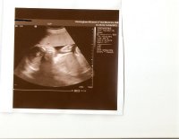 scan0069.jpg