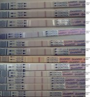 OPK1.jpg