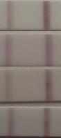 Untitled.png