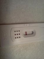 IMG_20120913_153335.jpg