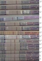 OPK1.jpg