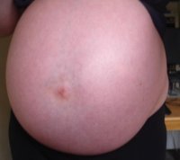 28-wks.jpg