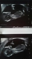 scan 002.jpg