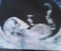 scan 001.jpg