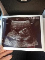 Baby B.jpg