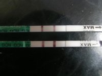 IMAG0047.jpg